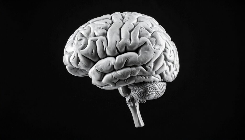 Tiefe MEG-Datenbank & KI-Benchmark: LibriBrain für Sprach-Dekodierung auf sciblog.at