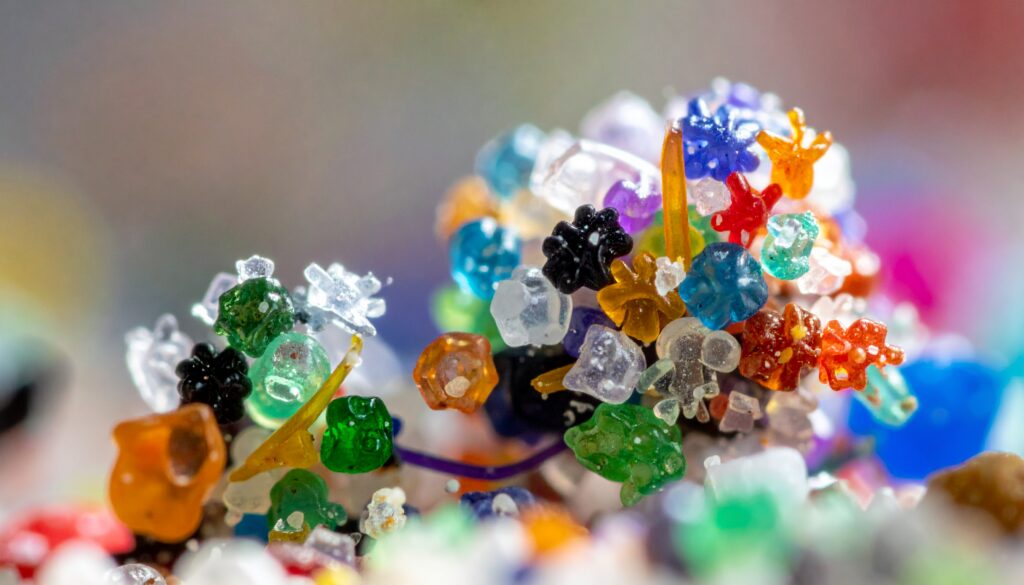 Mikroplastik im Körper: Was Studien über Risiken zeigen auf sciblog.at