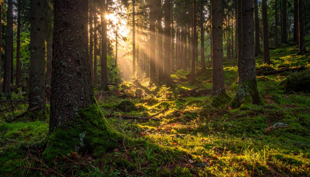 Wie Laser-Kupferkatalysatoren CO₂ in Methan verwandeln können auf sciblog.at