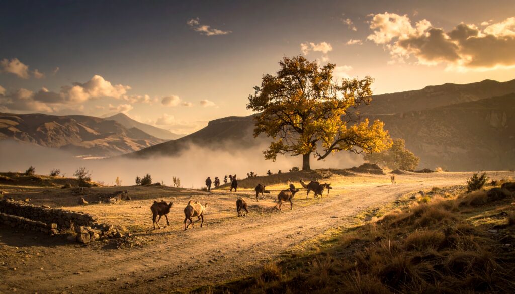 Historische Signifikanz: Wie Schüler Geschichte wichtig machen auf sciblog.at