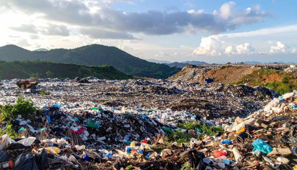 Enzyme, die Plastik fressen auf sciblog.at