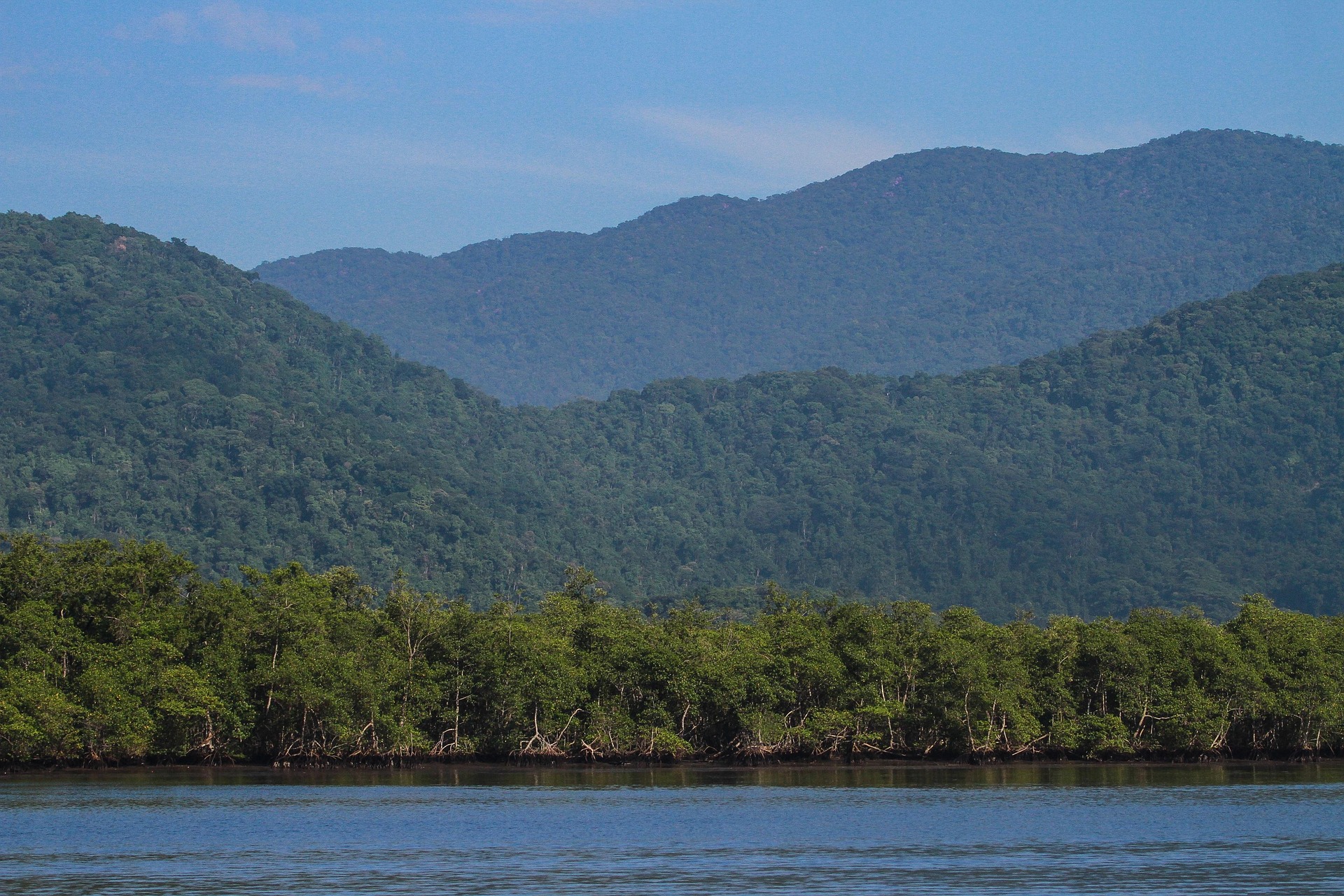 Amazonas: LiDAR enthüllt Spuren einer Millionen-Gesellschaft auf sciblog.at